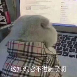 官方认证5成大学生有脱发困扰不慌,考研人即将壮大这个队伍