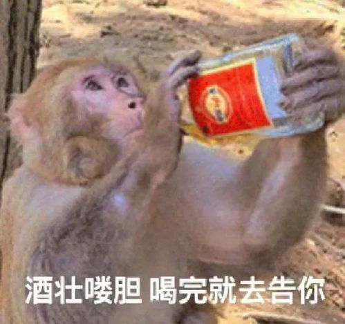 搞笑必备技能表情包3.03