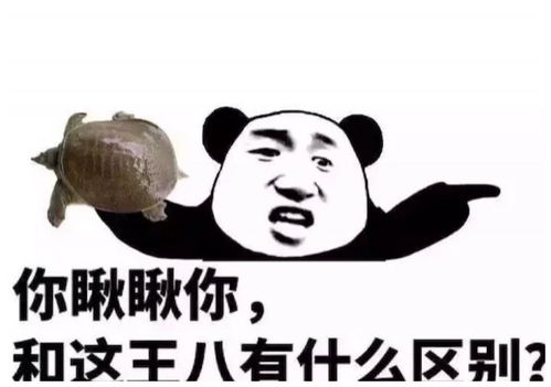 爆笑段子你知道一路我带这两蛋多不容易,别人都把我当痴呆儿了