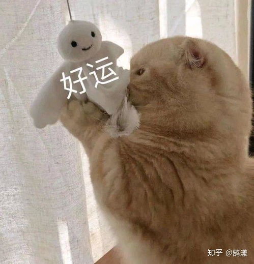 有没有可以鼓励的话