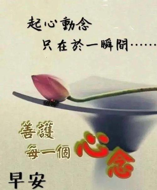 最新漂亮早上好问候动态图带字
