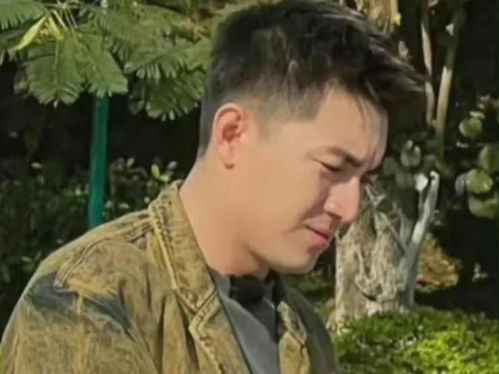 男明星发腮有多可怕美少年变成油腻大叔,沧桑老气遮不住了