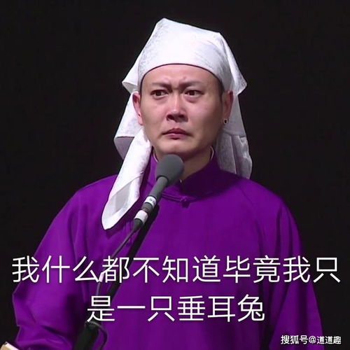 表情包系列第一期30张德云社搞笑图片