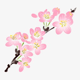 卡通简约唯美清新粉色樱花图片素材其他格式下载动漫人物大全