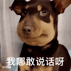 网上很火的动态表情包网上很火的动态表情包可爱又撩人的表情包2021微信表情包大全下载2021最火表情包
