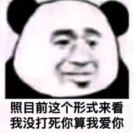 搞笑熊猫头斗图表情包你不理我的时候,我总觉得你在做头发