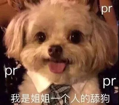 广告圈内走,哪能不舔狗