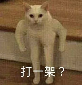 每天叫醒我的不是梦想,是隔壁装修的电钻声
