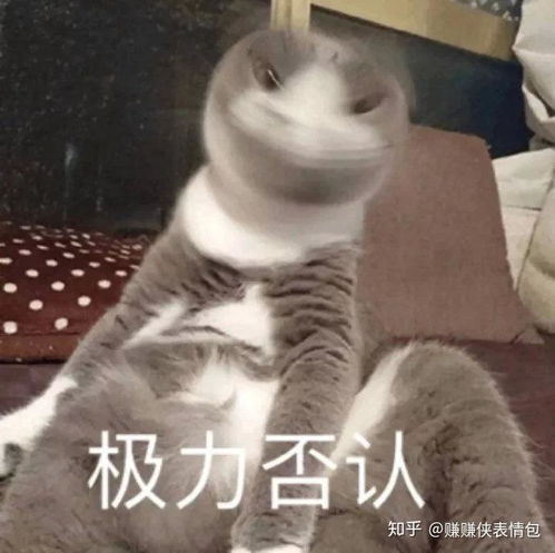 搞笑表情包图片等我,这就到,你不知道我正经历着什么