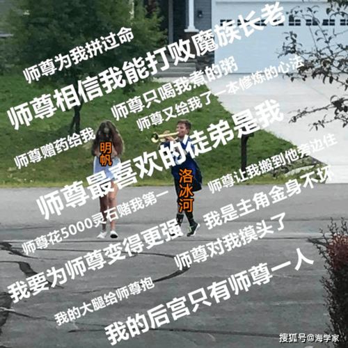 穿书自救指南让人疯狂追的沙雕番,沙雕表情包太过真实,笑哭网友