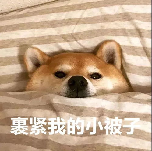 冷啊最低气温8中雨阵风9级,河北的亲们挺住