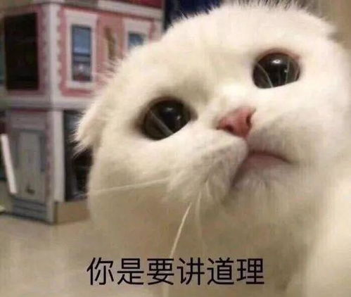如懿传皇帝只能让霍建华来演所有女人都会原谅他因这一点