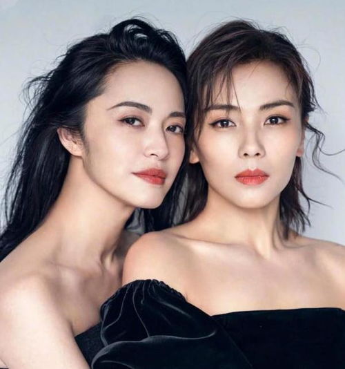 当41岁刘涛同框40岁姚晨,终于明白女人气质比长相重要太多了