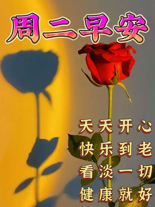 2024年4月9日星期二早上好问候祝福动态表情图片大全周二最新早安问候语动态图片表情