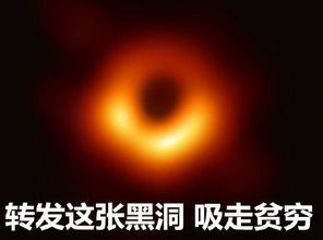 转发这张黑洞表情包大全