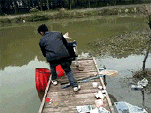 古代都是用信鸽送信,哈哈很疑惑信鸽怎么知道送信的确切位置呢