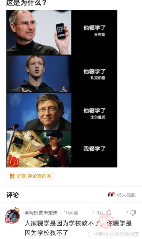 神回复窒息版猫咪是没有丑的,无论什么猫咪都很可爱