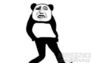 搞笑表情包熊猫人表情