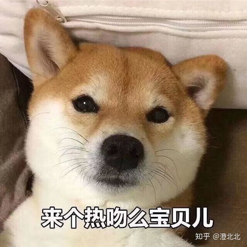 高中最应该学到的是什么