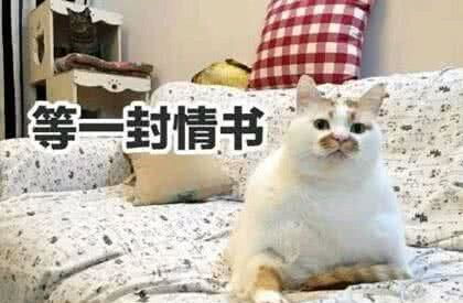 表情包扶我起来,我还能继续学习日常搞笑聊天肥宅猫表情