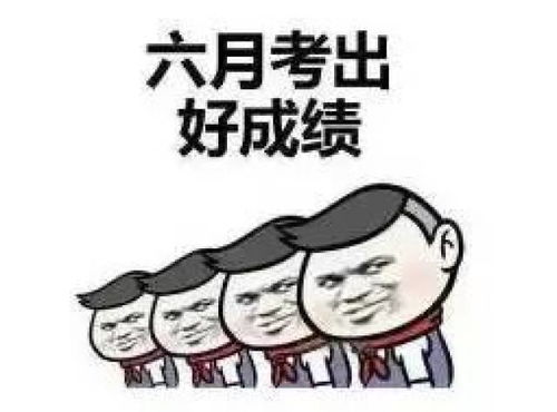 现场直击2018年紫金高考考场内外,都有人为你保驾护航