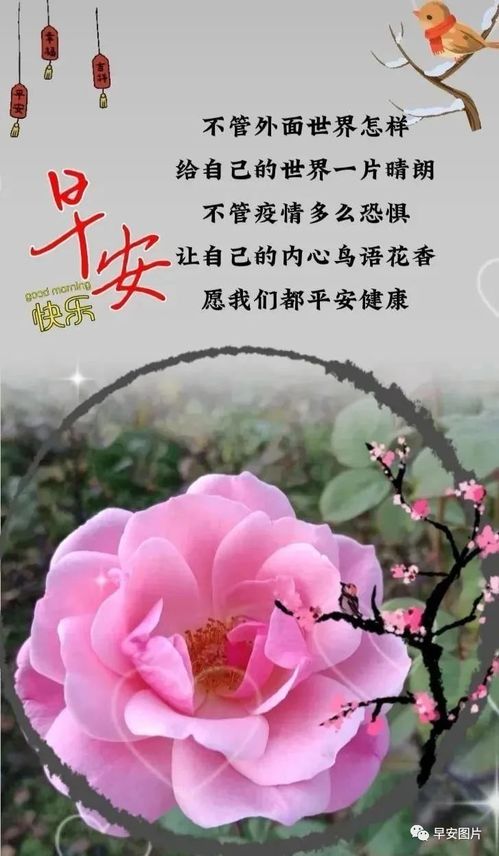 早安图片,早上好问候动态表情图片,最美早安问候祝福语图片大全