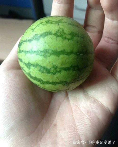 开心一刻笑话毕业后上班,买了个八成新的自行车代步