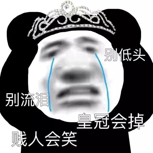 又可爱,又憨憨,又搞怪,又沙雕的文案