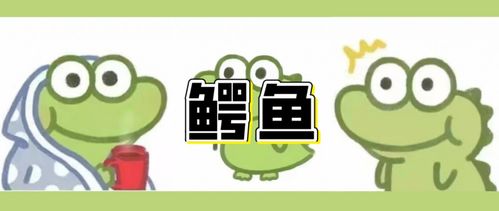 头像表情包丨沙雕搞笑动物合集,我来凑凑热闹