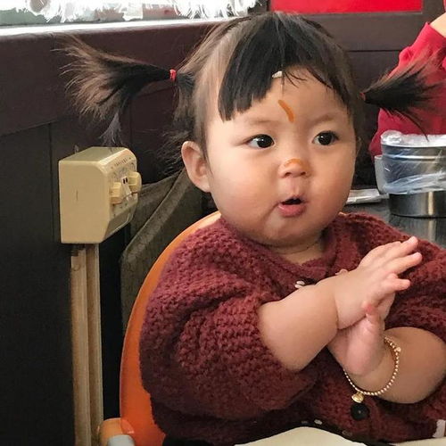 表情包少吃点,家里没钱了