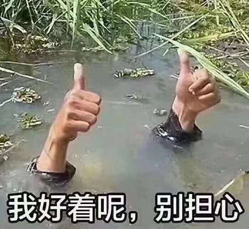 能把人逗笑的沙雕句子