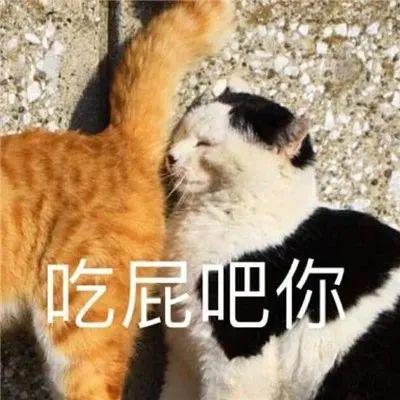 好家伙,彻底摆烂这可一点都不乔丹了