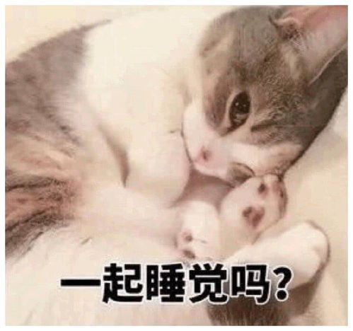十条笑话姑娘,萍水相逢,你这是何必呢