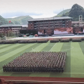 搞笑gif段子不管什么生物,总有一个沙雕在身边