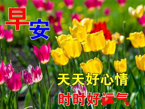 最漂亮早上好动态表情图片大全,早晨好动图美图大全