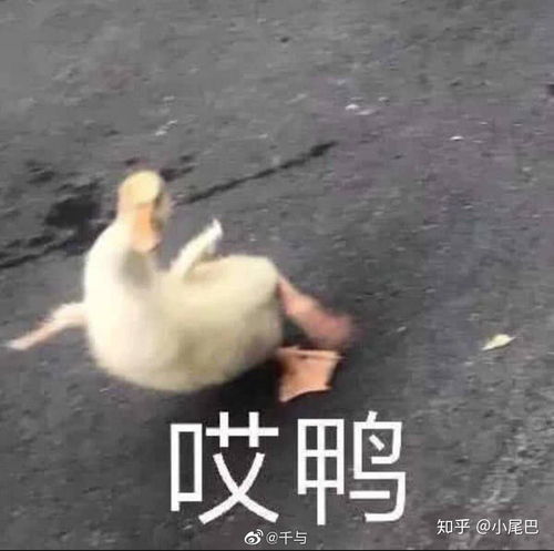 如何拒绝要和你组游戏cp的人