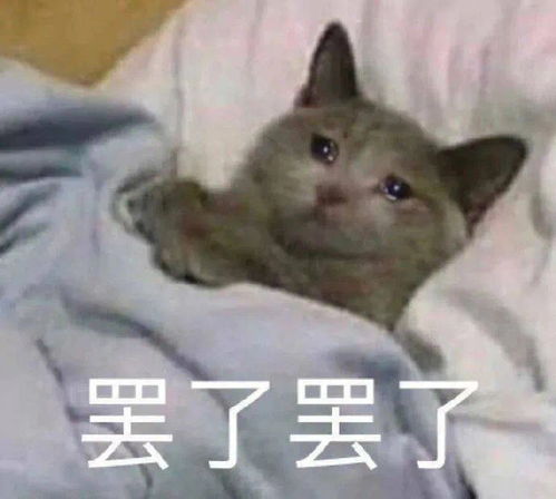 超沙雕表情包狗是假的人你是真的狗