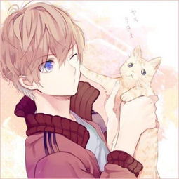 qq动漫男头高清要求男孩跟猫一起的