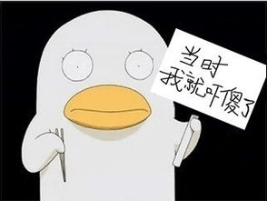 这个动画叫啥名好好玩