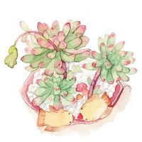 植物插画图片简单的手绘植物插画图片