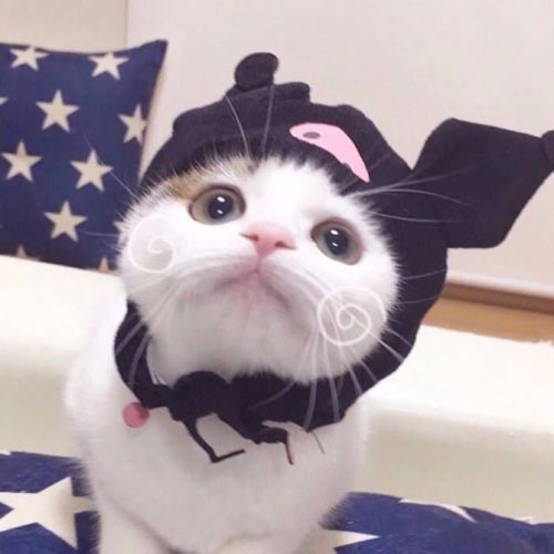 人和网