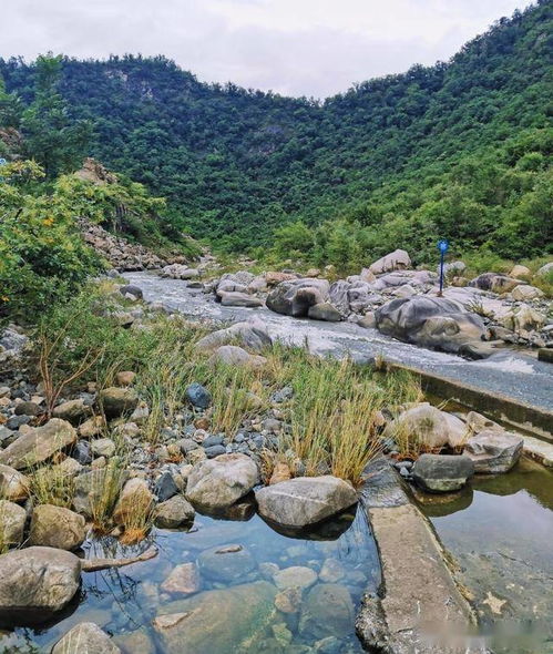 5月19号当天,河南这些山水景区免门票新乡南阳3个洛阳2个