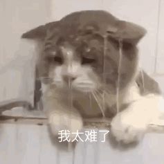 把握三点,学会高效率背单词