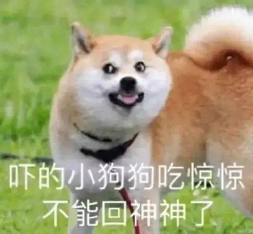 教师搞笑行为图鉴哈哈哈哈给我笑不活了....