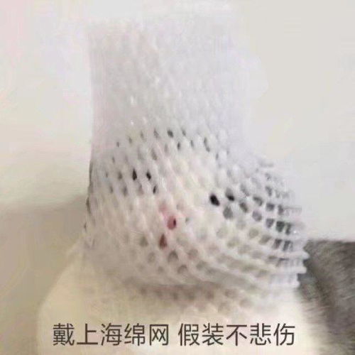 搞笑gif神评快让开,八百里加急