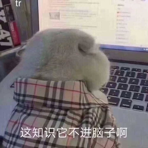 alib分数暴涨上名校难上加难想申名校要比均分高多少