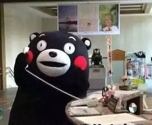 熊本熊搞笑萌呆表情包一句晚安,然后各自熬夜