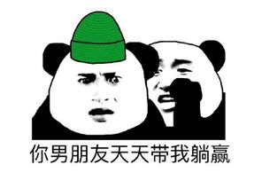 绿帽表情包大全扔绿帽表情包坚强绿帽表情包当然是选择原谅她