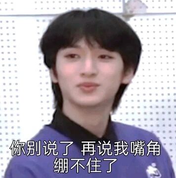 tnt时代少年团搞笑表情包