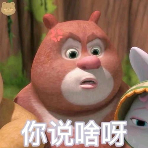 熊大熊二表情包丨真的是太可爱啦